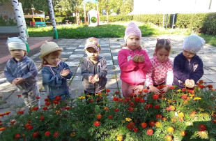 3 сентября – День солидарности в борьбе с терроризмом. 3 сентября – День солидарности в борьбе с терроризмом.